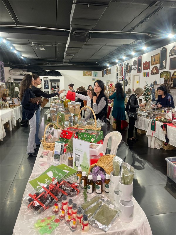 Christmas Bright stars exhibition