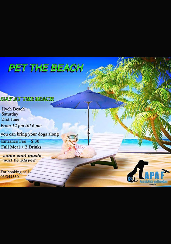 APAF Pet The Beach