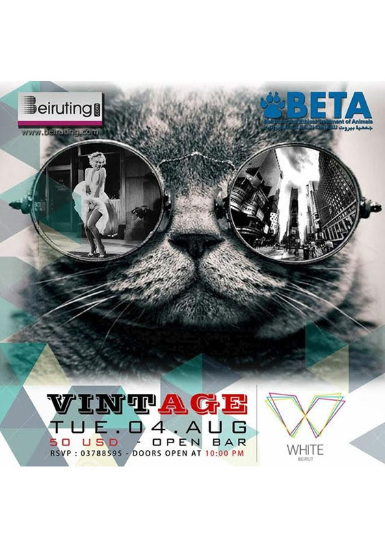 Vintage at White