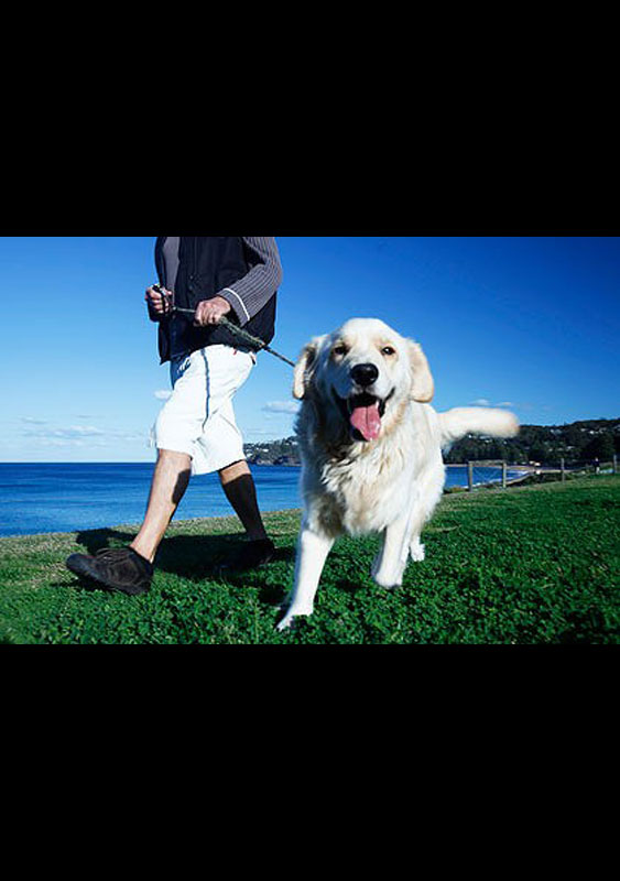 Aindara Dog Walk