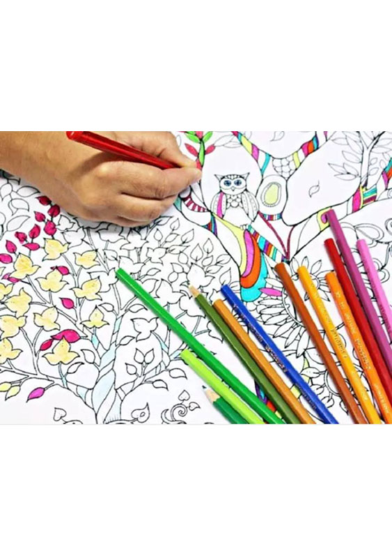 Adult coloring sessions
