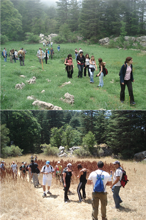 Ehden hiking
