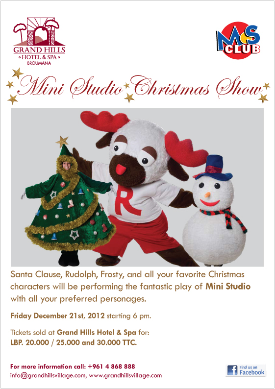 Mini Studio Christmas Show