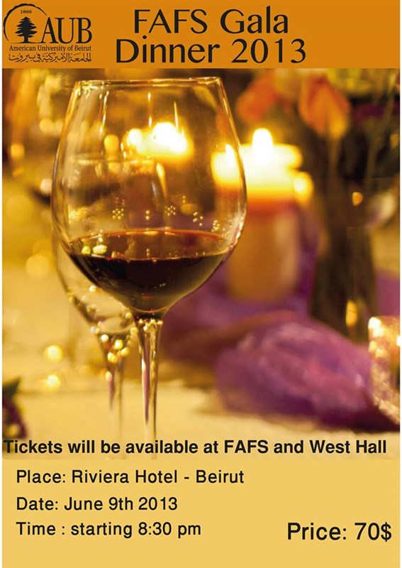 FAFS Gala Dinner 2013