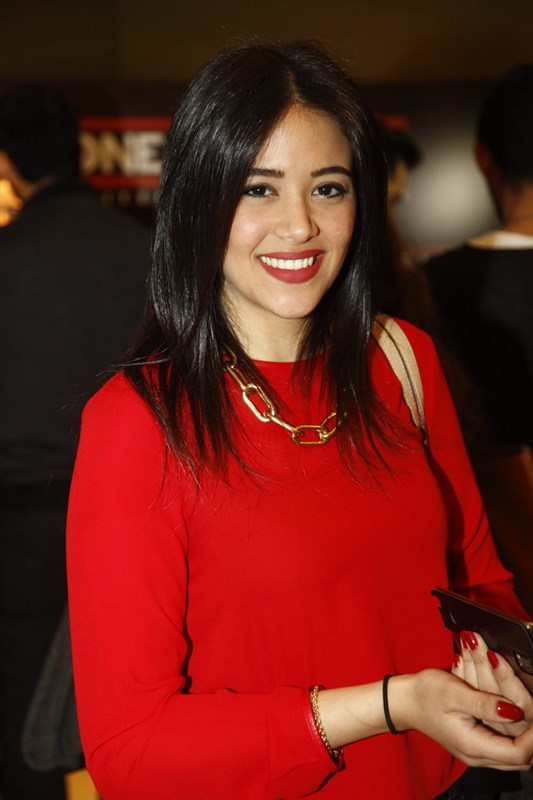 One Lebanon Press Conference