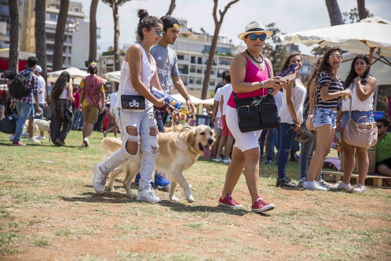 City Picnic Beirut