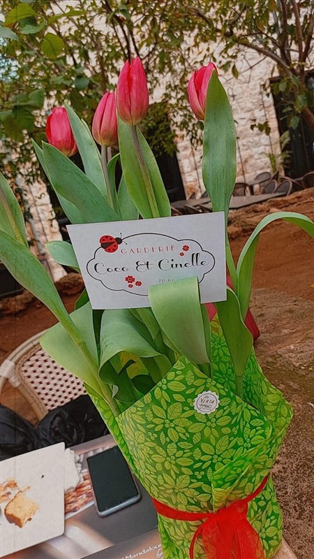 Garderie coco et cinelle mother's day brunch at al Mandaloun