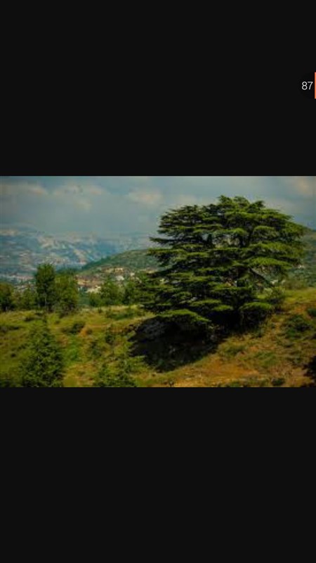 Hadath El jebbe Village And Cedars Forest