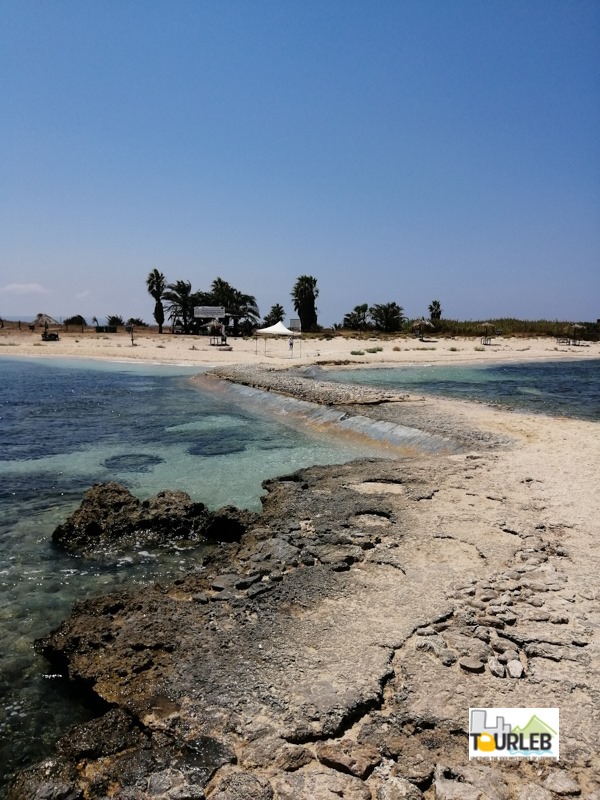On the Boat again : Rabbits Island