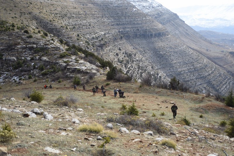 Ehdeniyat Autumn Reforestation