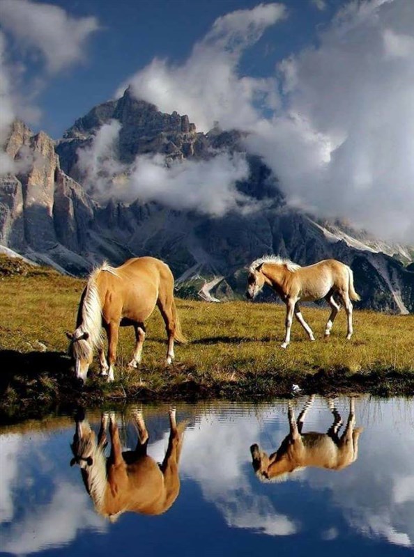 Discovering Svaneti - Georgia