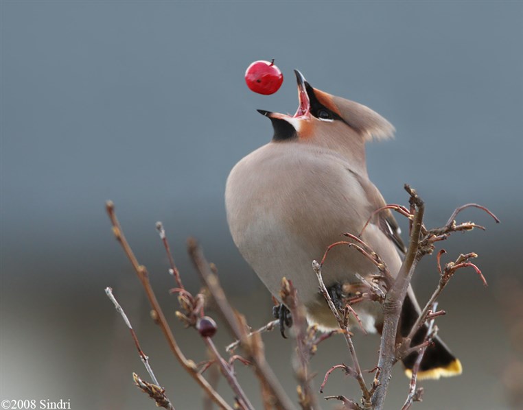 50 Pictures at Perfect Timing