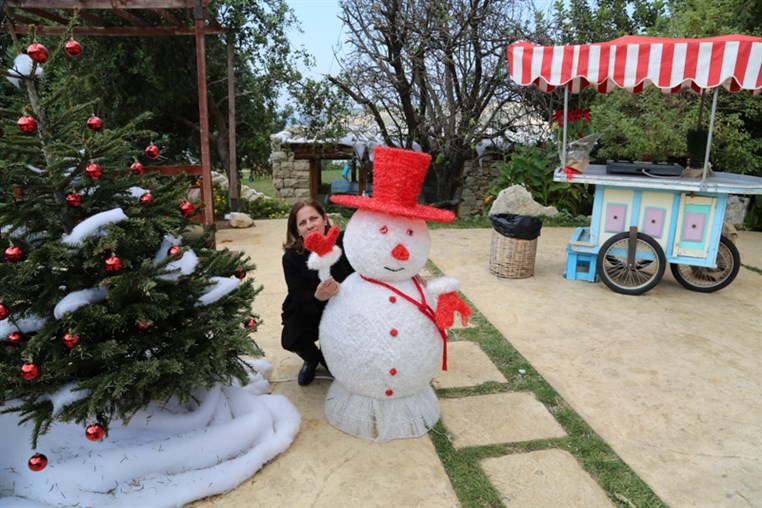 Arnaoon Christmas Village