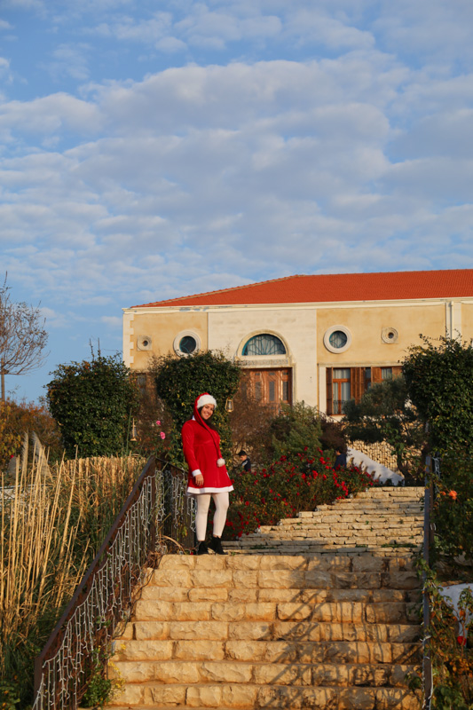 Arnaoon Christmas Village
