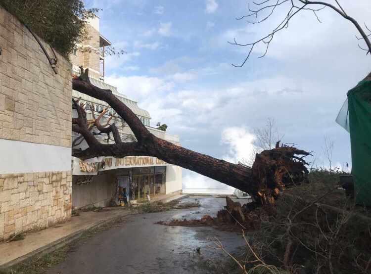 Storm causes heavy damages in Lebanon