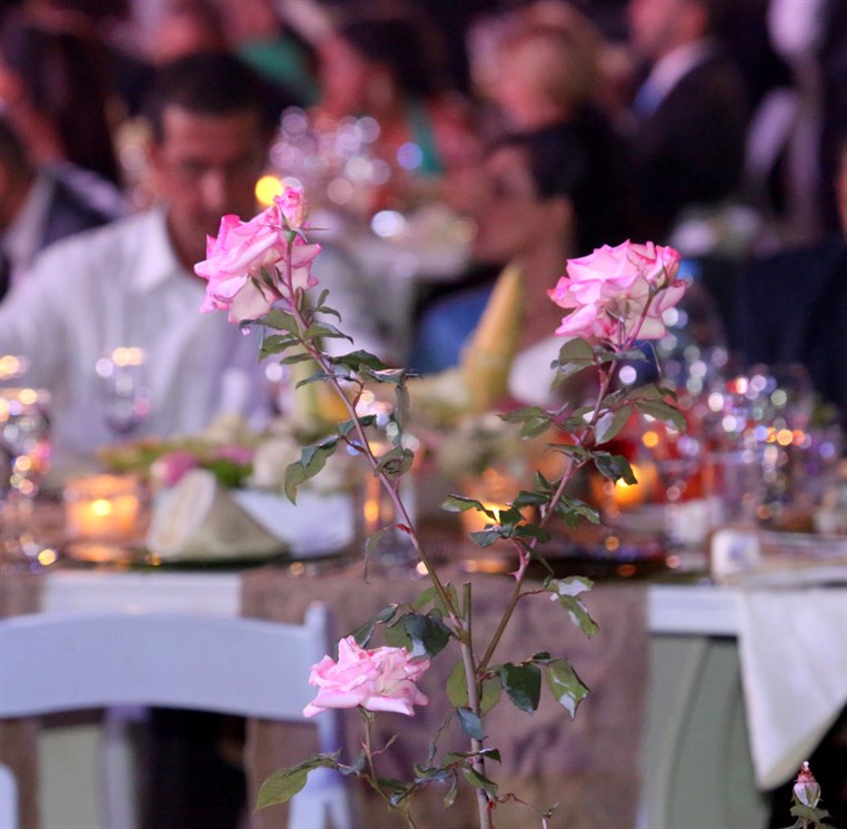 Georges & Joelle Wedding