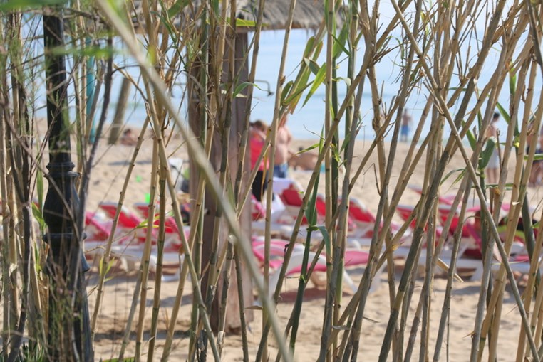 Back to Summer at Edde sands 