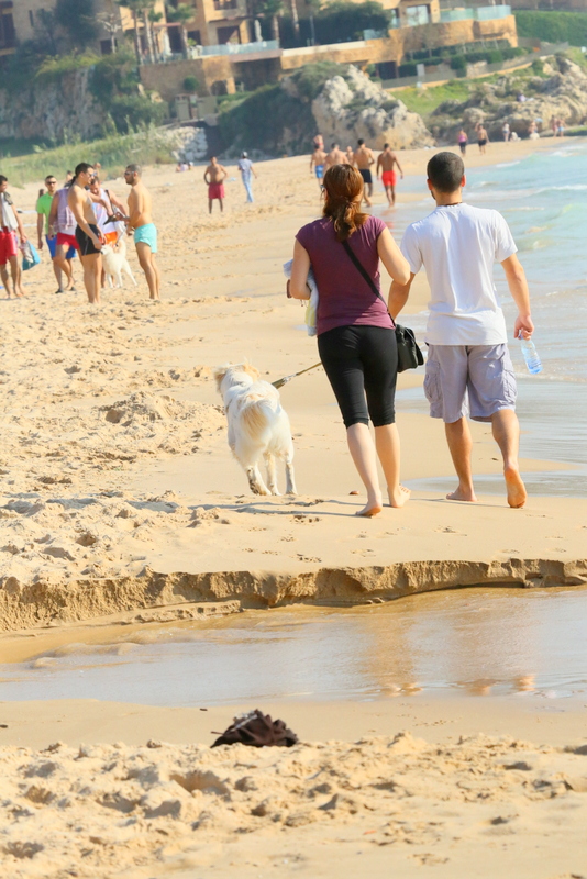 Back to Summer at Edde sands 