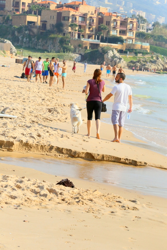 Back to Summer at Edde sands 