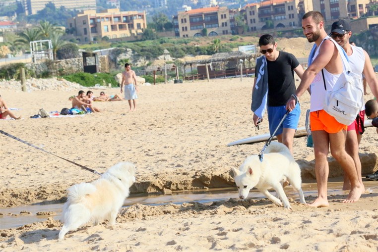 Back to Summer at Edde sands 