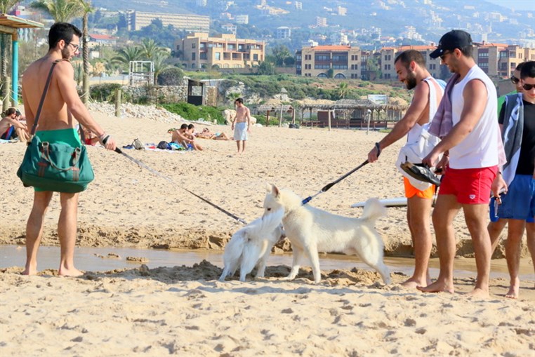 Back to Summer at Edde sands 