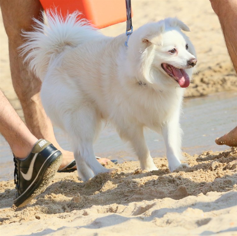 Back to Summer at Edde sands 