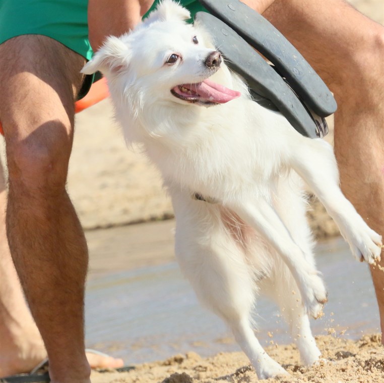 Back to Summer at Edde sands 