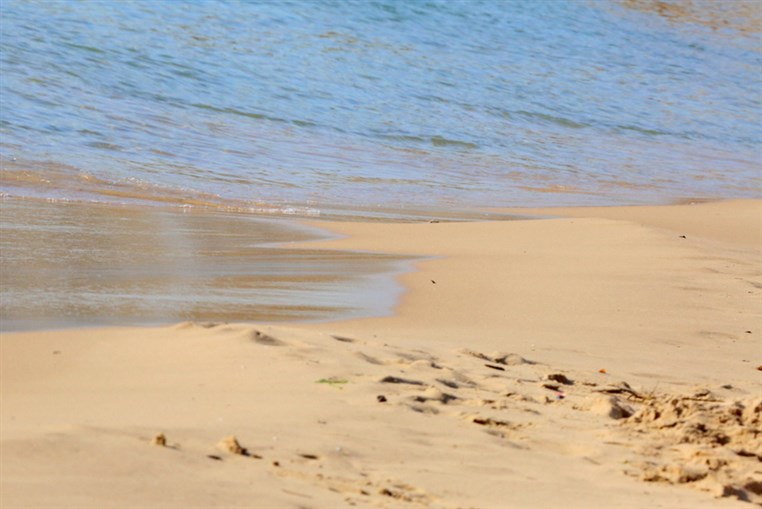 Back to Summer at Edde sands 