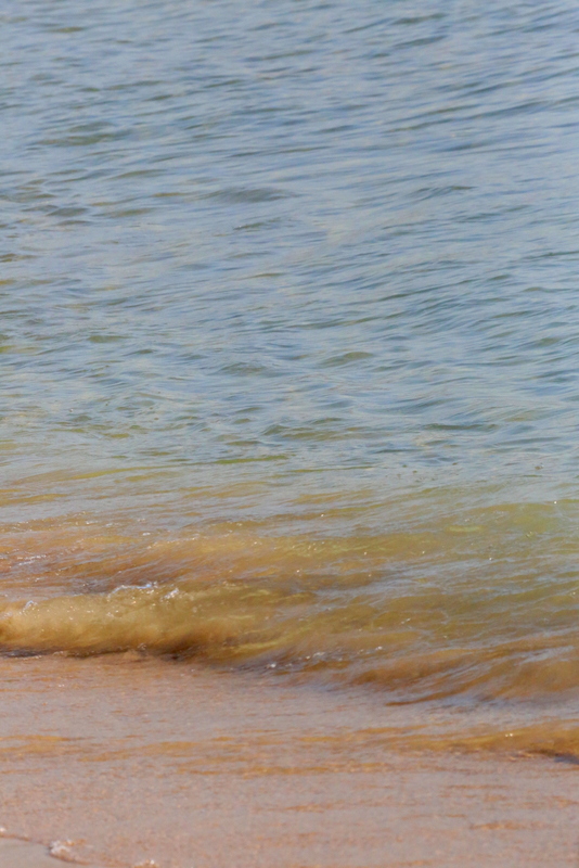 Back to Summer at Edde sands 