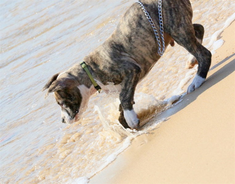 Back to Summer at Edde sands 