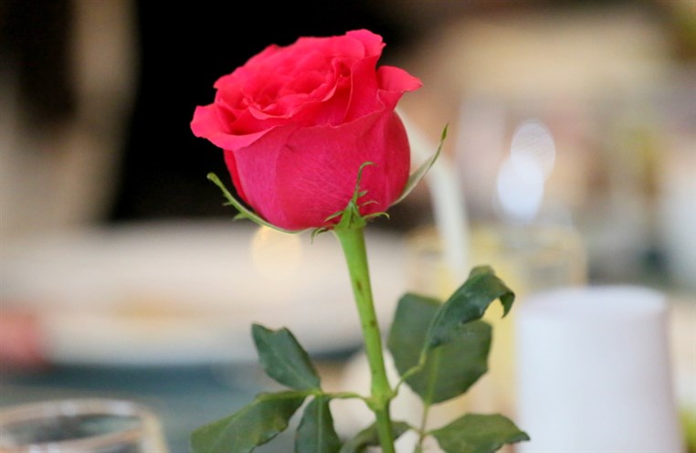 Ladies Wellness Lunch at eCafe Sursock