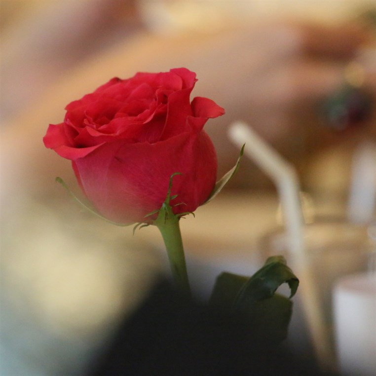 Ladies Wellness Lunch at eCafe Sursock