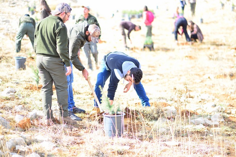 Ehdeniyat Autumn Reforestation