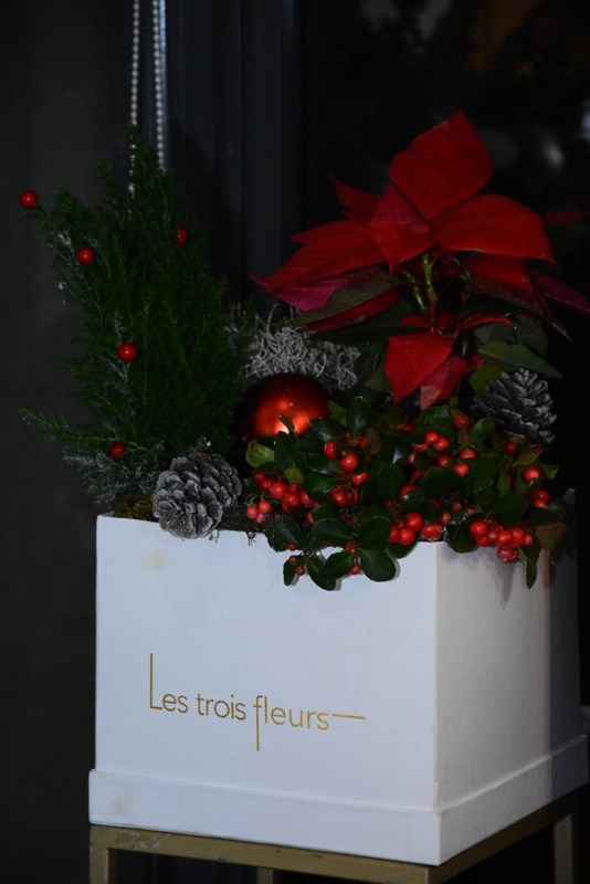 Marche de Noel Marina Dbayeh