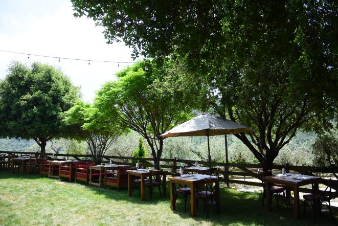 Zayyoun Restauranr Grand Opening at Kahloon Village