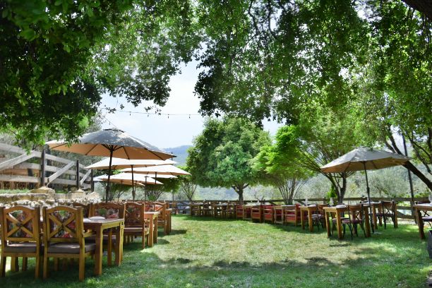 Zayyoun Restauranr Grand Opening at Kahloon Village