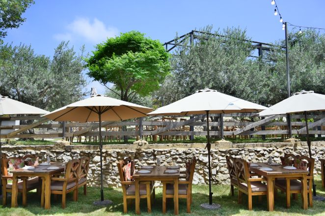 Zayyoun Restauranr Grand Opening at Kahloon Village