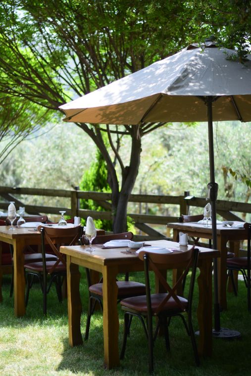 Zayyoun Restauranr Grand Opening at Kahloon Village
