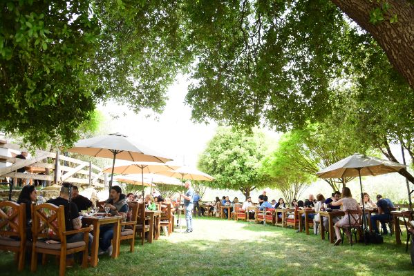 Zayyoun Restauranr Grand Opening at Kahloon Village