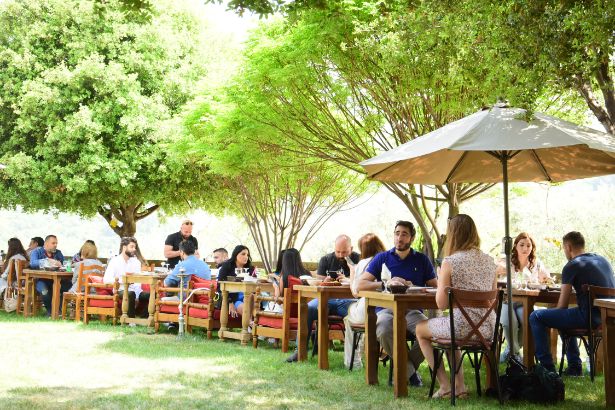 Zayyoun Restauranr Grand Opening at Kahloon Village