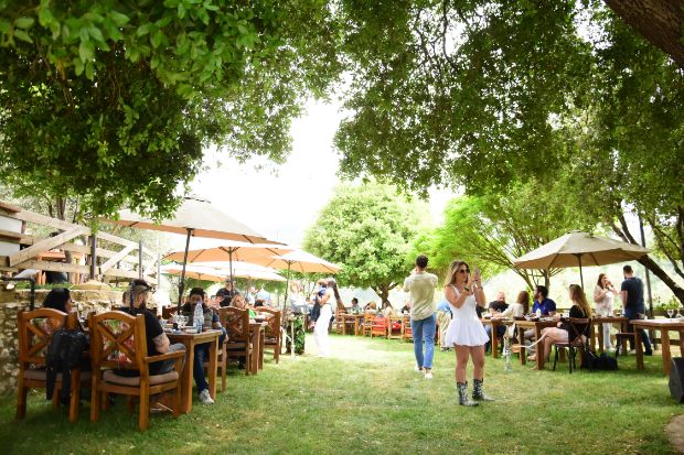 Zayyoun Restauranr Grand Opening at Kahloon Village