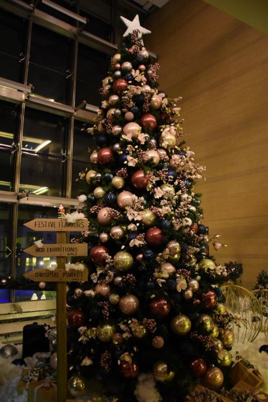 Kempinski SummerLand Christmas Tree Lighting