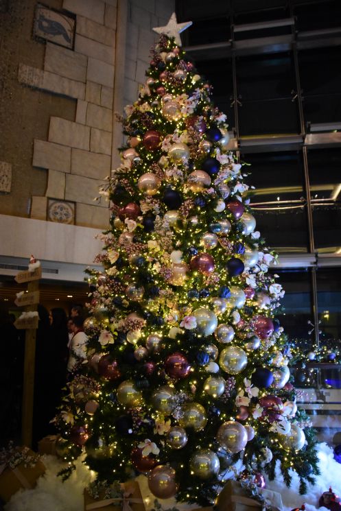 Kempinski SummerLand Christmas Tree Lighting