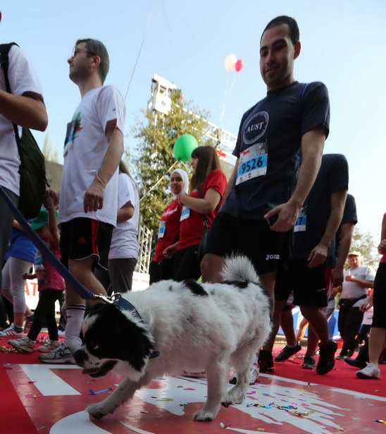 Beirut Marathon 2013