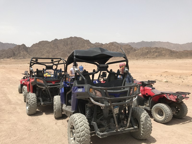 MEA digital networking event- ATV Safari Day
