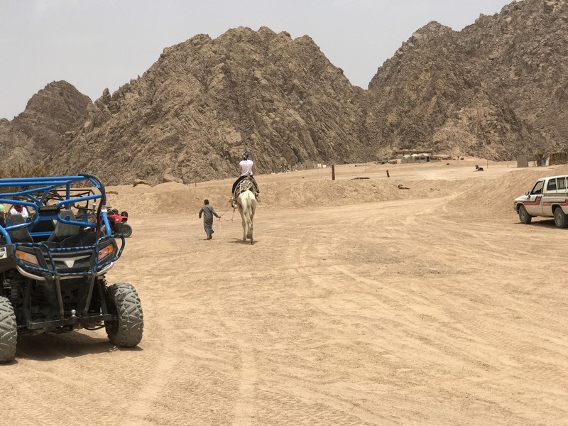 MEA digital networking event- ATV Safari Day