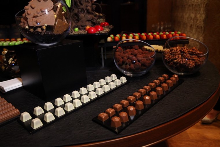 Launching of The Grill & Lounge
