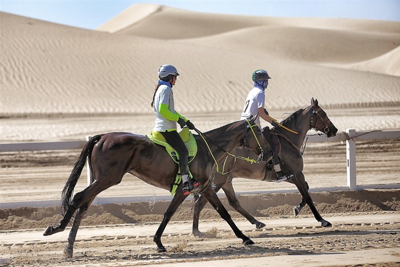 AlWathba Challenge