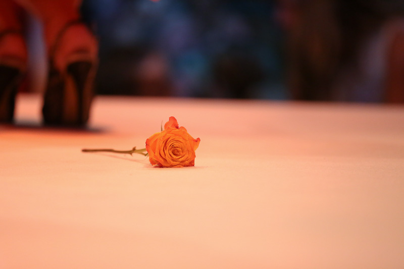 IFHRA Fashion Night