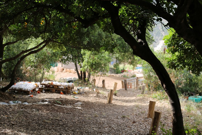 Arnaoon Village on Sunday